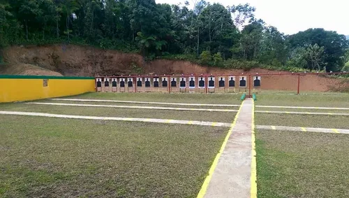 Rifles en exhibición